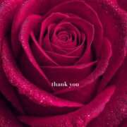 ヒメ日記 2025/11/12 14:15 投稿 井関 綾乃 人妻セレブ宮殿