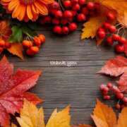 ヒメ日記 2025/11/13 17:52 投稿 井関 綾乃 人妻セレブ宮殿