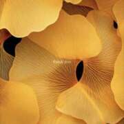 井関 綾乃 ありがとうございました 人妻セレブ宮殿