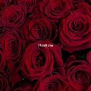 ヒメ日記 2025/12/28 22:30 投稿 井関 綾乃 人妻セレブ宮殿