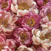 ヒメ日記 2026/01/23 16:42 投稿 井関 綾乃 人妻セレブ宮殿