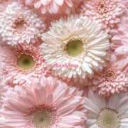 ヒメ日記 2026/01/29 15:02 投稿 井関 綾乃 人妻セレブ宮殿