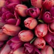 ヒメ日記 2026/02/02 14:55 投稿 井関 綾乃 人妻セレブ宮殿