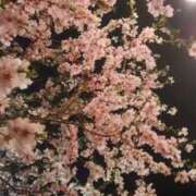 井関 綾乃 こんばんは 人妻セレブ宮殿