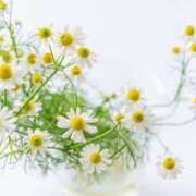 ヒメ日記 2025/02/22 09:48 投稿 あん One More 奥様　池袋店