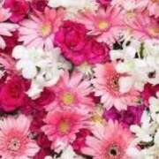 ヒメ日記 2025/02/28 04:38 投稿 あん One More 奥様　池袋店