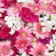 ヒメ日記 2025/03/15 02:56 投稿 あん One More 奥様　池袋店