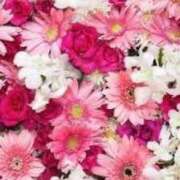 ヒメ日記 2025/03/28 04:18 投稿 あん One More 奥様　池袋店