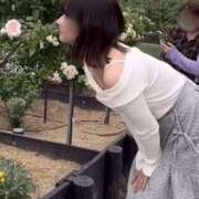 ヒメ日記 2025/06/09 16:27 投稿 桐谷 かのん ティアリズム代官山