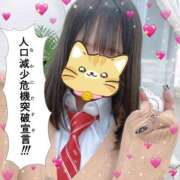 ヒメ日記 2024/12/21 00:28 投稿 かんな 若葉