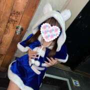 ヒメ日記 2024/12/24 11:25 投稿 かんな 若葉