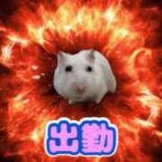 ヒメ日記 2025/01/08 15:15 投稿 かんな 若葉