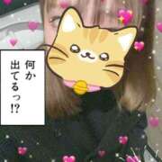 ヒメ日記 2025/01/09 00:15 投稿 かんな 若葉