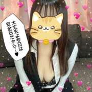 ヒメ日記 2025/03/30 16:25 投稿 かんな 若葉