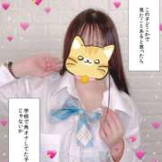 ヒメ日記 2025/07/18 17:05 投稿 かんな 若葉