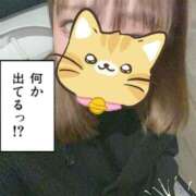 ヒメ日記 2025/09/25 19:25 投稿 かんな 若葉