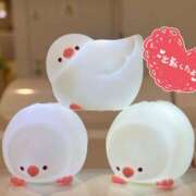 ヒメ日記 2025/05/14 17:12 投稿 りつ ちゃんこ藤沢茅ヶ崎店