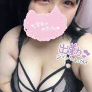 ヒメ日記 2025/11/06 17:12 投稿 りつ ちゃんこ藤沢茅ヶ崎店