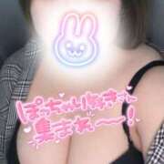 ヒメ日記 2026/01/19 17:22 投稿 りつ ちゃんこ藤沢茅ヶ崎店