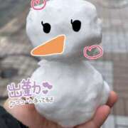 ヒメ日記 2026/02/11 17:42 投稿 りつ ちゃんこ藤沢茅ヶ崎店