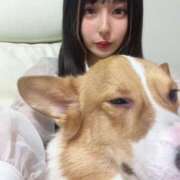 ヒメ日記 2025/02/03 01:04 投稿 月野あいな ウルトラプラチナム