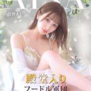 ヒメ日記 2025/03/13 05:17 投稿 月野あいな ウルトラプラチナム