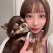 ヒメ日記 2025/04/01 03:45 投稿 月野あいな ウルトラプラチナム