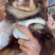 ヒメ日記 2025/04/04 11:57 投稿 月野あいな ウルトラプラチナム