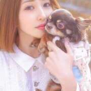 ヒメ日記 2025/04/11 14:58 投稿 月野あいな ウルトラプラチナム