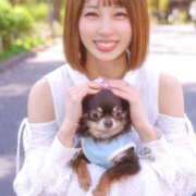 ヒメ日記 2025/04/15 10:21 投稿 月野あいな ウルトラプラチナム