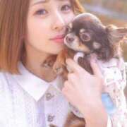 ヒメ日記 2025/04/28 00:01 投稿 月野あいな ウルトラプラチナム