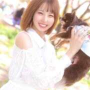 ヒメ日記 2025/04/28 08:11 投稿 月野あいな ウルトラプラチナム