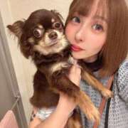 ヒメ日記 2025/05/25 09:02 投稿 月野あいな ウルトラプラチナム