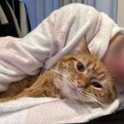 ヒメ日記 2025/03/27 19:04 投稿 金城ゆう ウルトラプラチナム