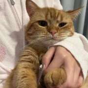 ヒメ日記 2025/07/27 15:09 投稿 金城ゆう ウルトラプラチナム