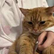 ヒメ日記 2025/08/03 21:42 投稿 金城ゆう ウルトラプラチナム