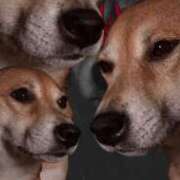 ヒメ日記 2025/11/14 18:37 投稿 まお ギン妻パラダイス 十三店