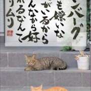 ヒメ日記 2025/12/11 14:56 投稿 まお ギン妻パラダイス 十三店