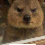 ヒメ日記 2025/12/18 16:13 投稿 まお ギン妻パラダイス 十三店