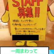 ヒメ日記 2026/01/08 16:46 投稿 まお ギン妻パラダイス 十三店