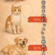 ヒメ日記 2026/01/28 13:51 投稿 まお ギン妻パラダイス 十三店