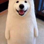 ヒメ日記 2026/02/17 14:54 投稿 まお ギン妻パラダイス 十三店