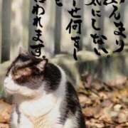 ヒメ日記 2026/04/20 15:28 投稿 まお ギン妻パラダイス 十三店