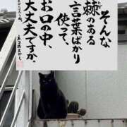 ヒメ日記 2026/08/12 14:37 投稿 まお ギン妻パラダイス 十三店