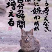 ヒメ日記 2026/08/19 10:43 投稿 まお ギン妻パラダイス 十三店