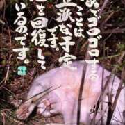 ヒメ日記 2026/08/26 14:11 投稿 まお ギン妻パラダイス 十三店