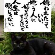 ヒメ日記 2026/09/08 13:45 投稿 まお ギン妻パラダイス 十三店
