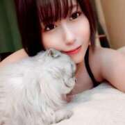 ヒメ日記 2025/04/08 22:51 投稿 音羽るか ウルトラプラチナム