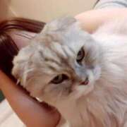 ヒメ日記 2025/04/19 23:54 投稿 音羽るか ウルトラプラチナム