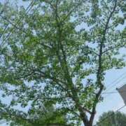 ヒメ日記 2025/05/14 12:46 投稿 みどり 癒し妻 札幌店